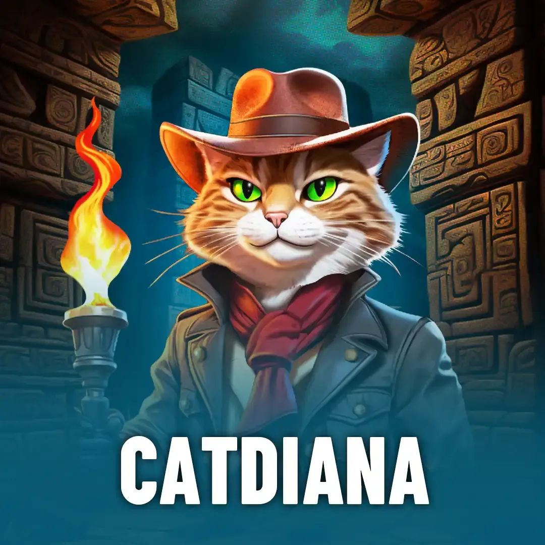 Crash casino