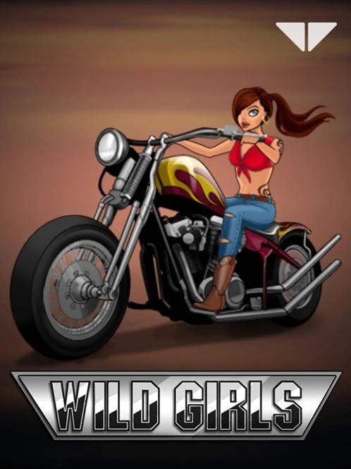 Mega downloader download