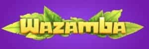 Play plus a fazenda